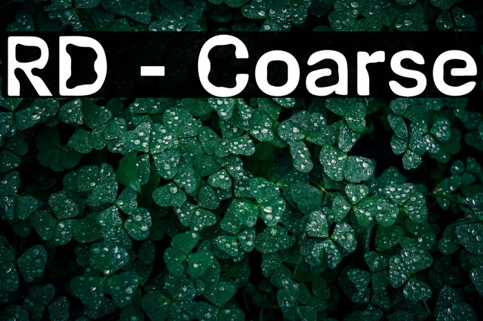 RD - Coarse Example 1