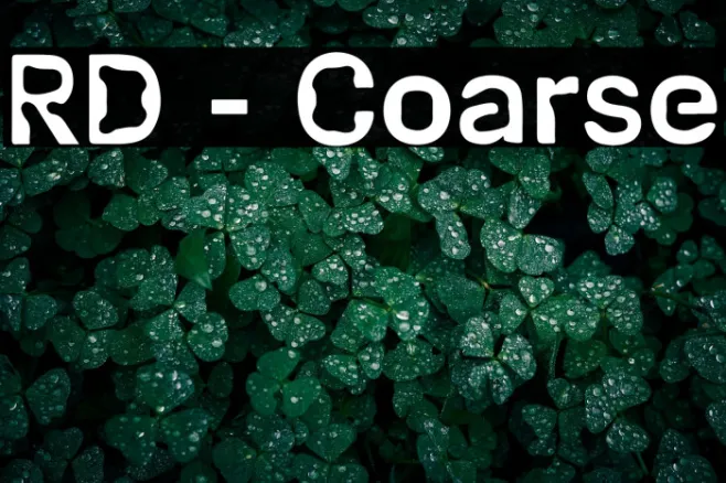 RD - Coarse Example 1