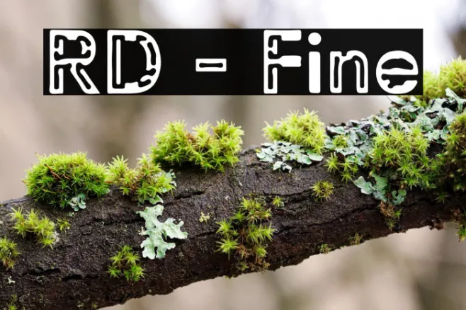 RD - Fine Example 1