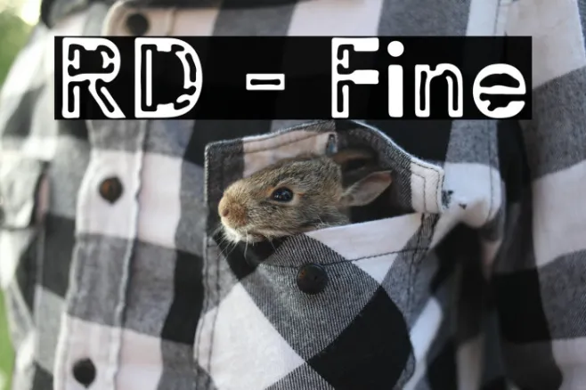 RD - Fine Example 2