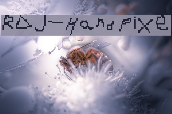 RDJ-Hand Pixel Example 2