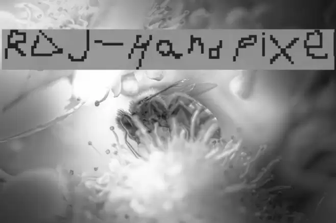 RDJ-Hand Pixel Font examples