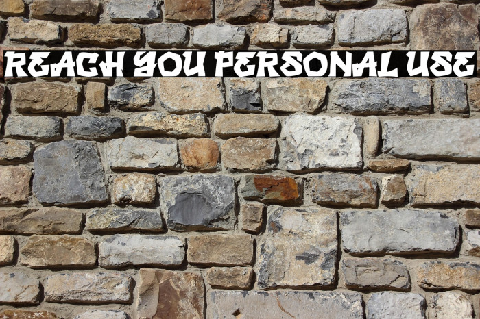 REACH YOU PERSONAL USE Example 3