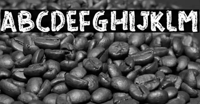 READ AND READ Font examples