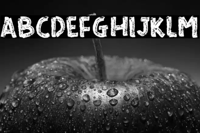 READ AND READ Font examples