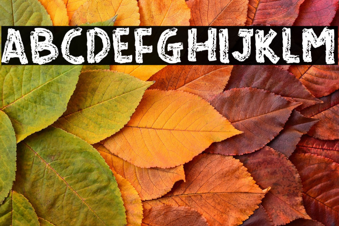 READ AND READ Example 3