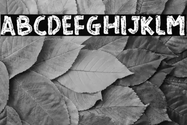 READ AND READ Font examples