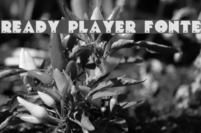 READY PLAYER FONTE フォント examples