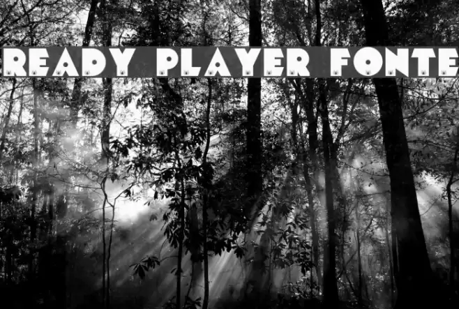 READY PLAYER FONTE フォント examples