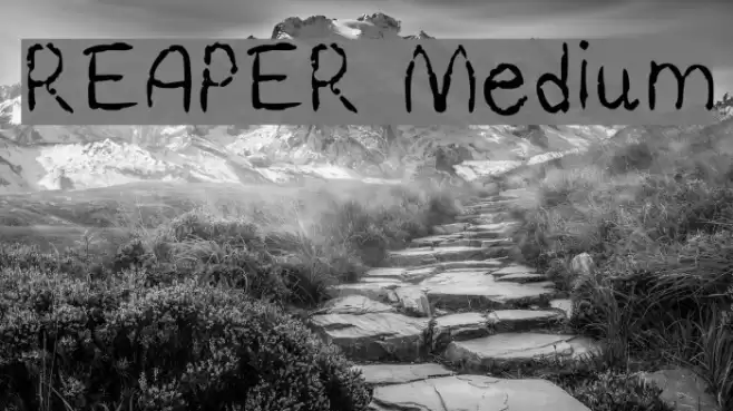 REAPER Medium Font examples