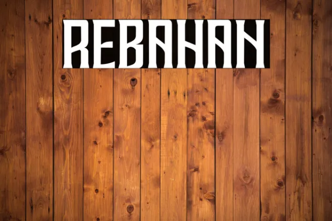 REBAHAN Example 2