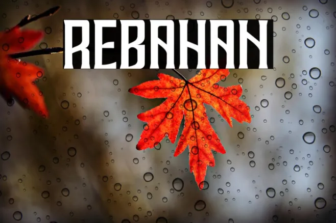 REBAHAN Example 3