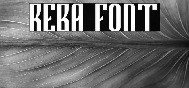 REBA Font examples
