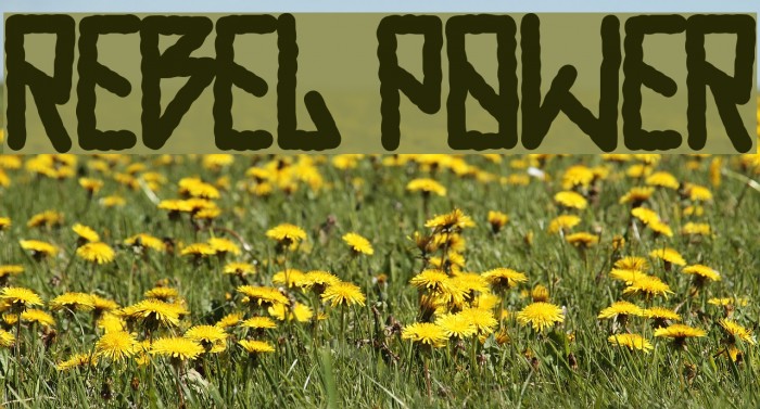 REBEL POWER Font examples