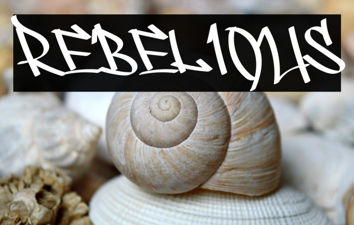 REBELIOUS Example 3