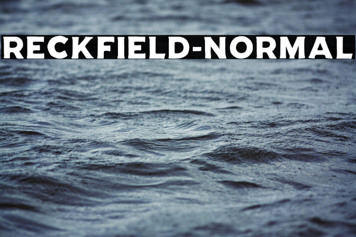 RECKFIELD-NORMAL Example 2