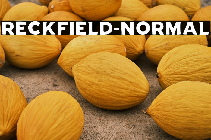 RECKFIELD-NORMAL Example 3