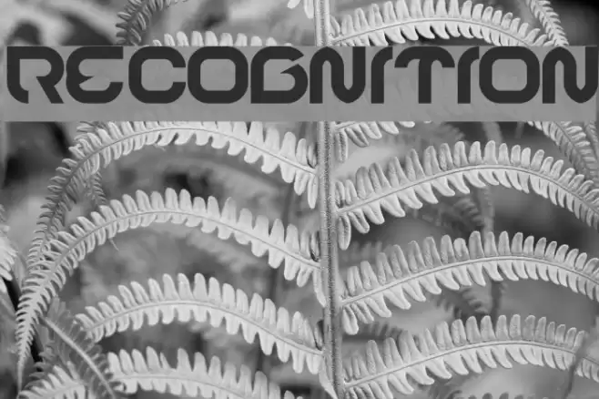 RECOGNITION Font examples