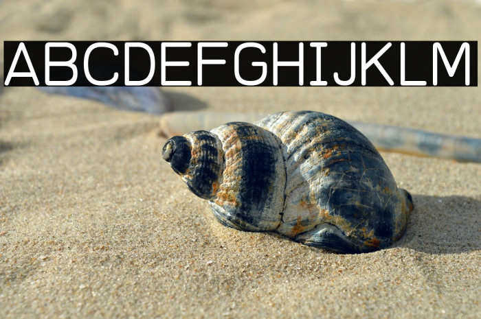 REDRING 1969 Example 2