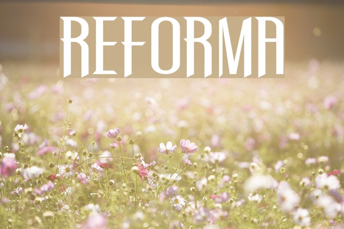 REFORMA Font examples