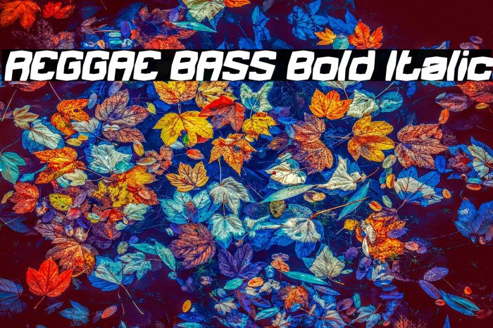 REGGAE BASS Bold Italic Example 2