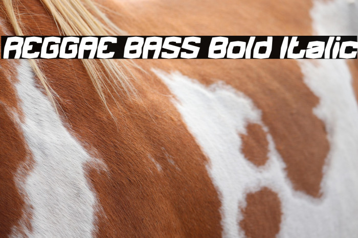 REGGAE BASS Bold Italic Example 3