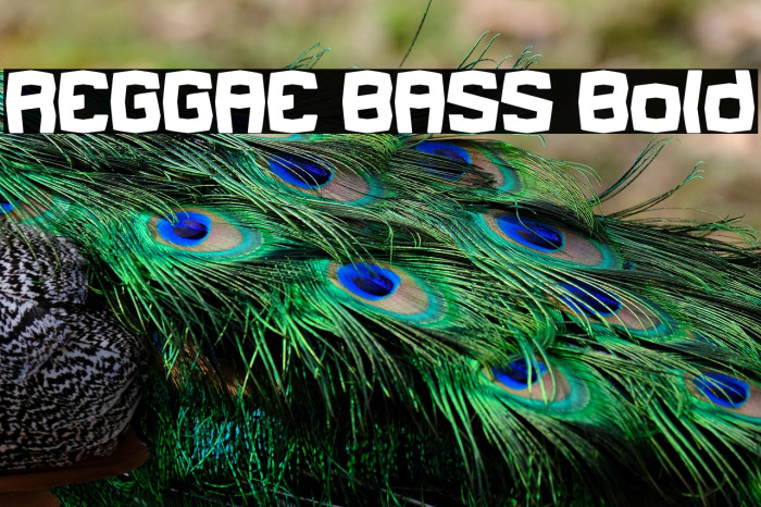 REGGAE BASS Bold Example 3