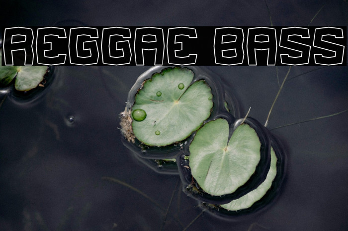 REGGAE BASS Example 1