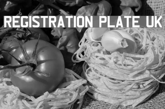 REGISTRATION PLATE UK Шрифта examples