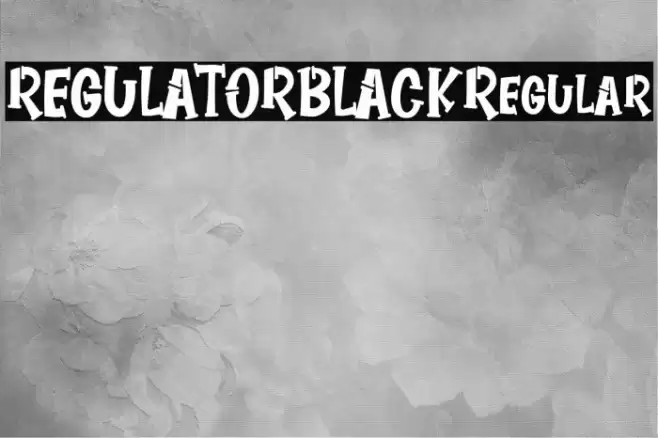 REGULATORBLACKRegular Caratteri examples