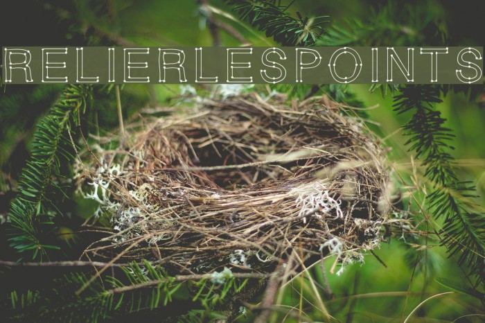 RELIERLESPOINTS Example 1