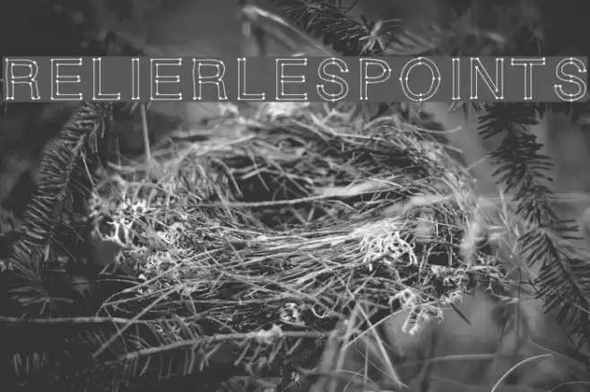 RELIERLESPOINTS Font examples