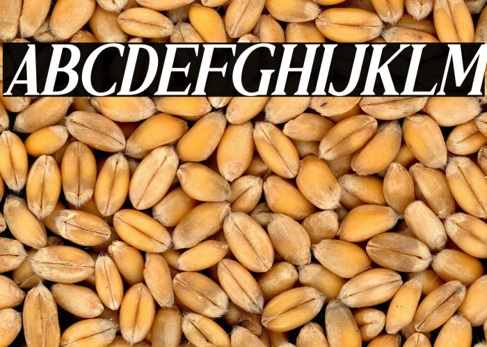 RELLIALE Italic Example 1