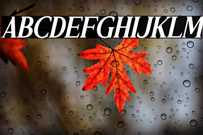 RELLIALE Italic Example 2