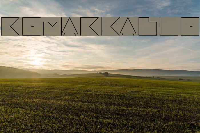 REMARKABLE Font examples