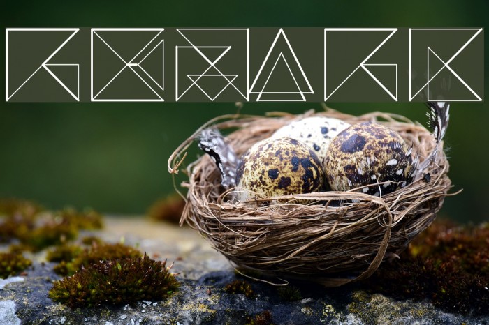 REMARK Font examples