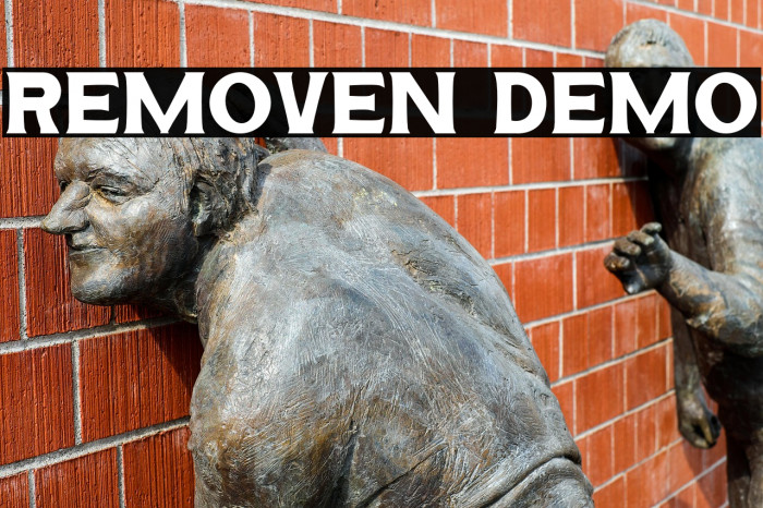 REMOVEN DEMO Example 1