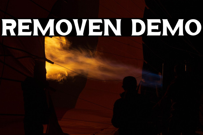 REMOVEN DEMO Example 2