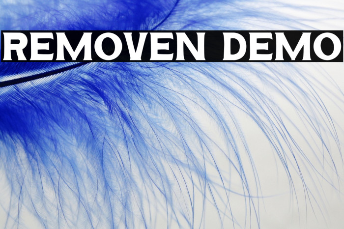 REMOVEN DEMO Example 3