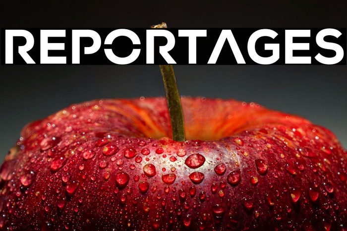 REPORTAGES Example 2