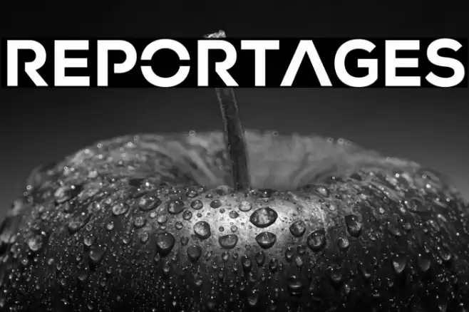 REPORTAGES Font examples