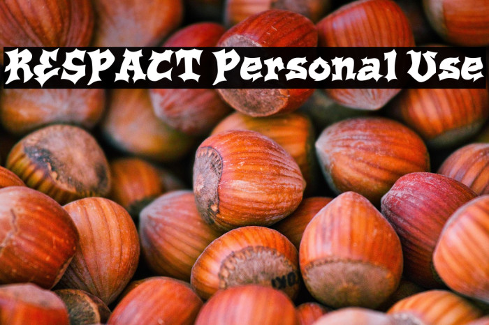 RESPACT Personal Use Example 1