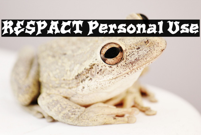 RESPACT Personal Use Example 3