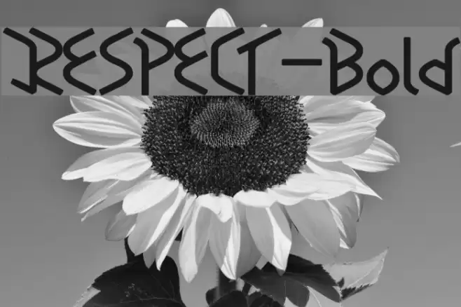 RESPECT-Bold Font examples