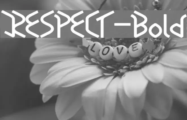 RESPECT-Bold Font examples