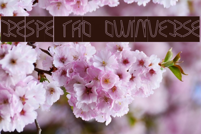 RESPECTHOLLOWINVERSE Example 3