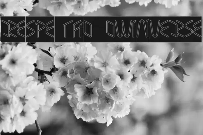 RESPECTHOLLOWINVERSE Font examples