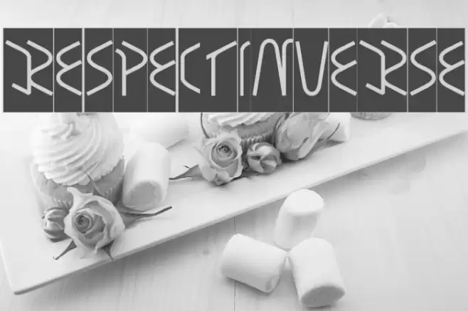 RESPECTINVERSE Font examples