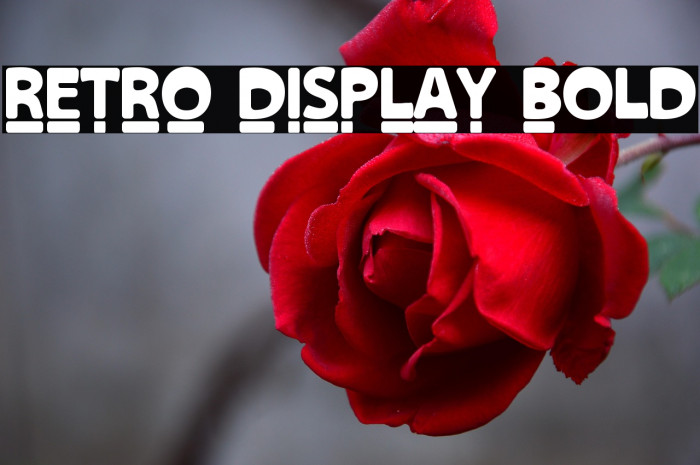 RETRO DISPLAY Bold Example 1