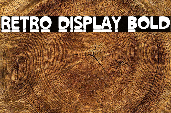 RETRO DISPLAY Bold Example 2